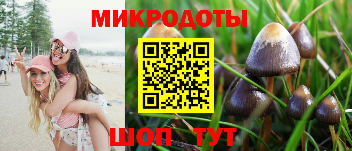 дарнет шоп  Вход с VPN  Псилоцибиновые грибы мицелий  Красный Сулин  Галлюциногенные грибы MAGIC MUSHROOMS 